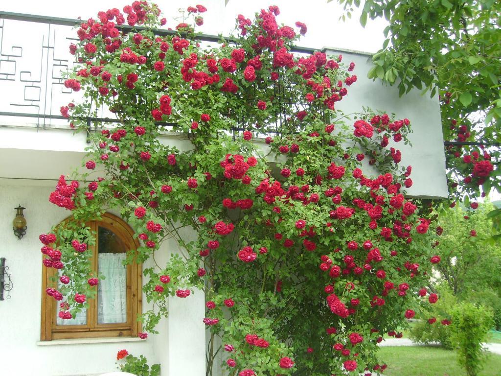 Hotel Villa Stella Cascia Exteriör bild