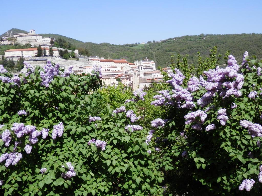 Hotel Villa Stella Cascia Exteriör bild